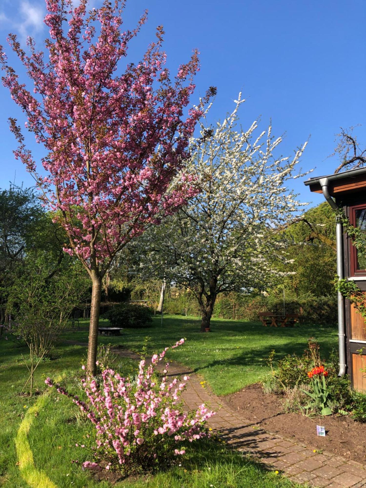 Ferienwohnung Kastanienblick Oder Parkblick, Oder Unser Radlerzimmer! Ziethen  Exterior foto